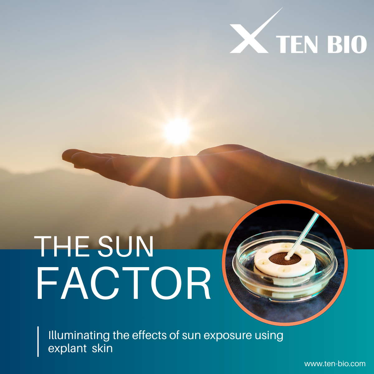 The Sun Factor Ten Bio